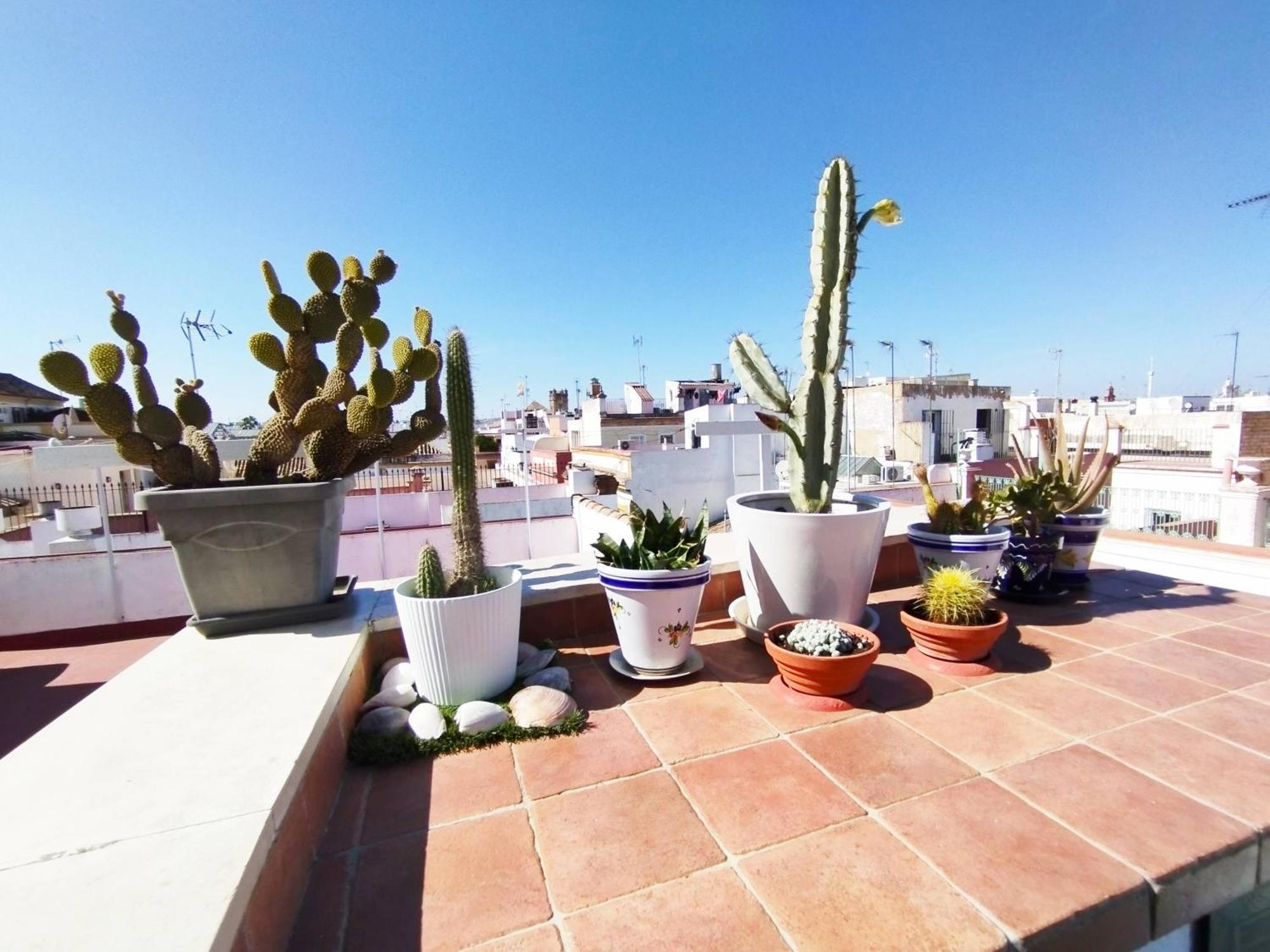 Appartamento Casa Gavidia - Duplex With Panoramic View Siviglia Esterno foto